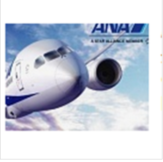 Introduktion af ANA All Nippon Airways