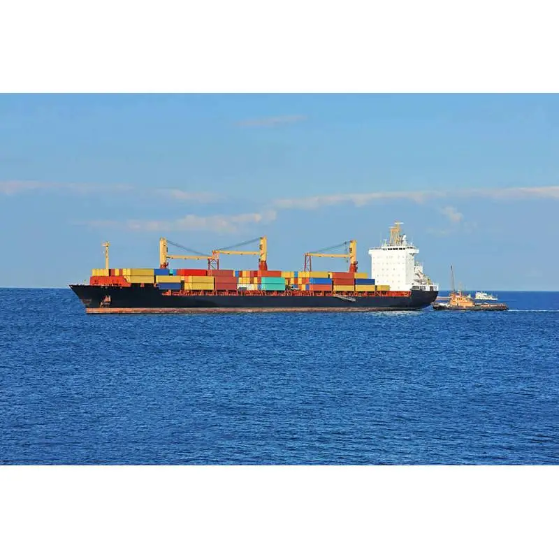 Ting at bemærke i international havfragt